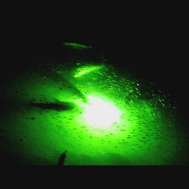 Load video: underwater dock lights